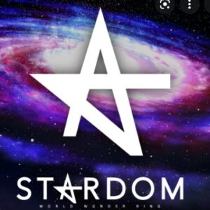 STARDOM団体